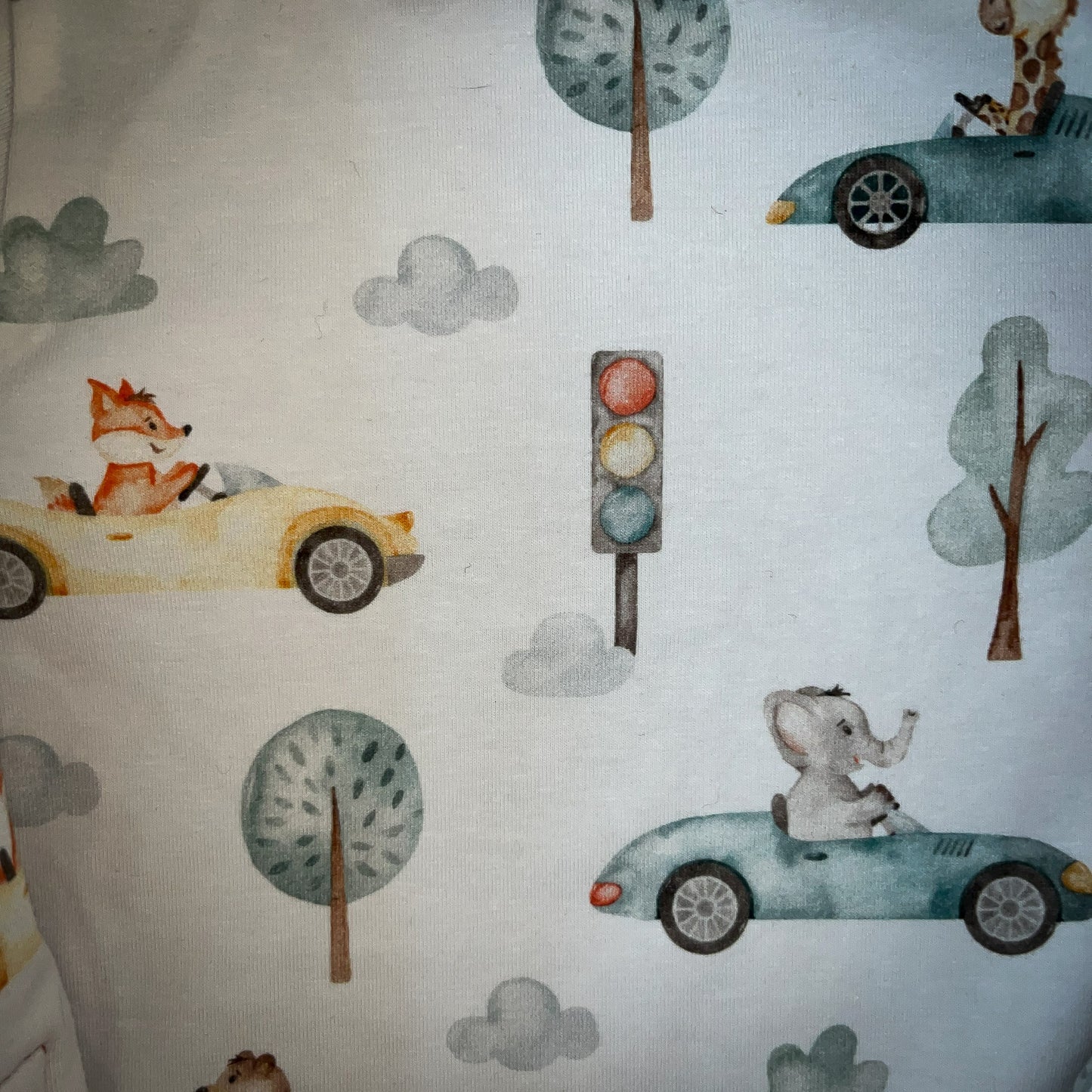 Walk Overall - Animal traffic